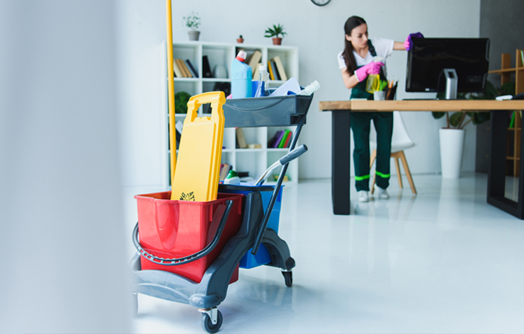 Cleaning1